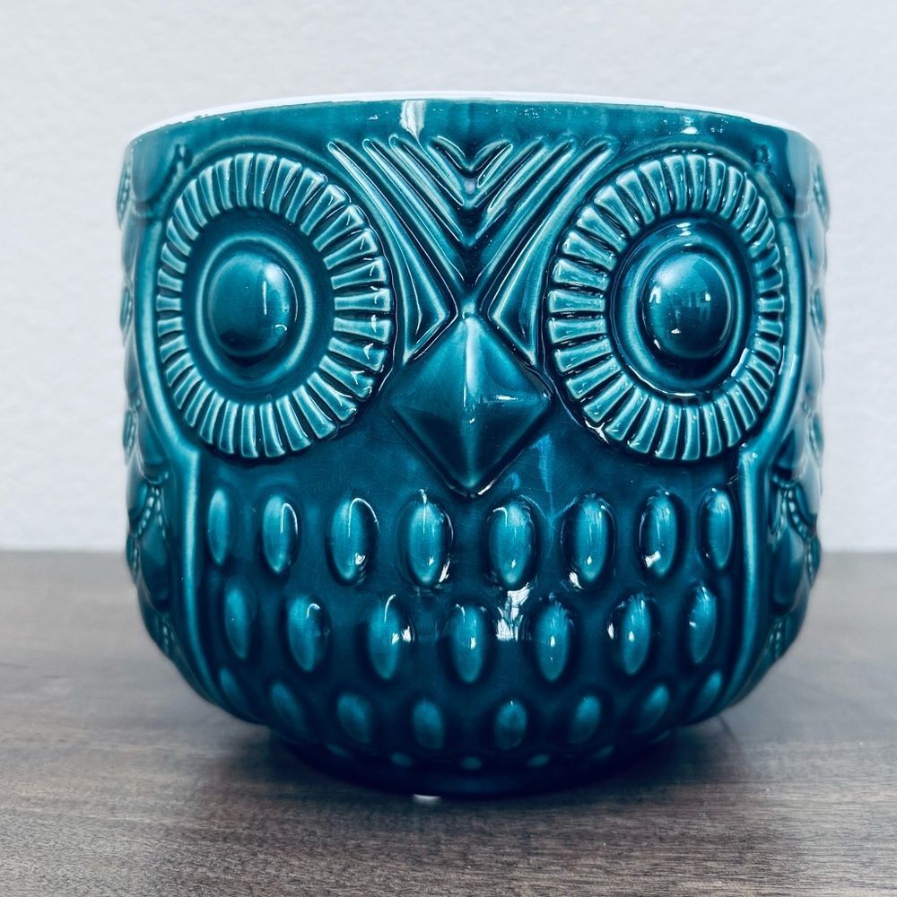 Teal Owl Ceramic Planter Plant Pot
